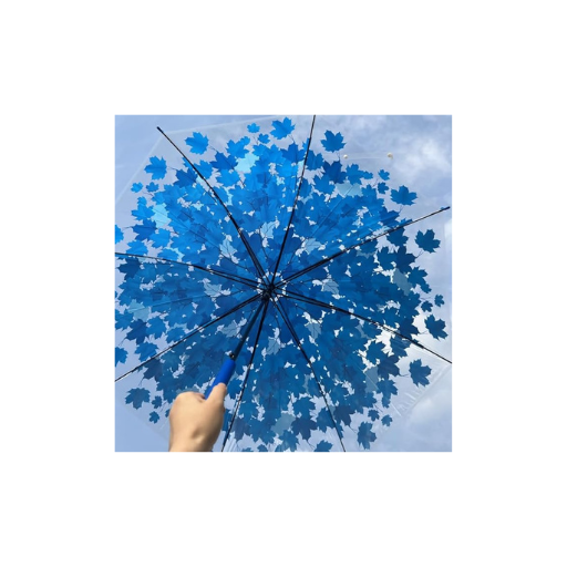 Transparent Printed Umbrella