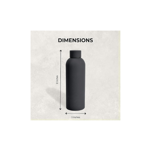 Stainless Steel Water Bottle