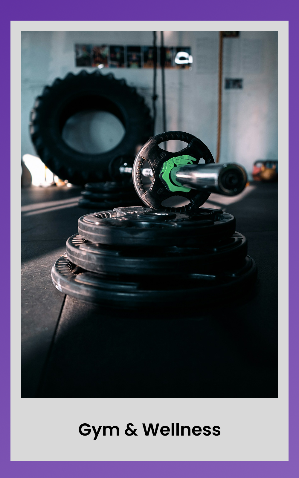 Gym & Wellness