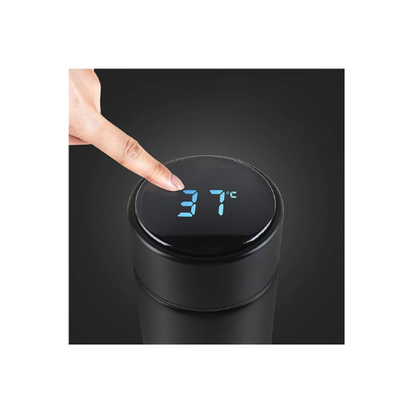 Temperature water bottle