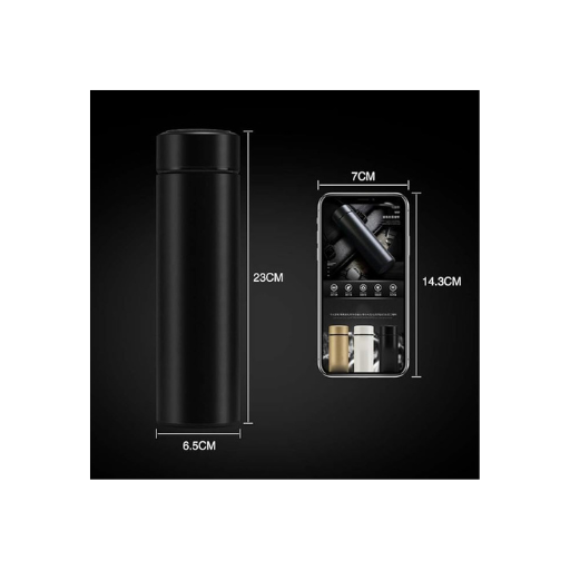 Temperature water bottle