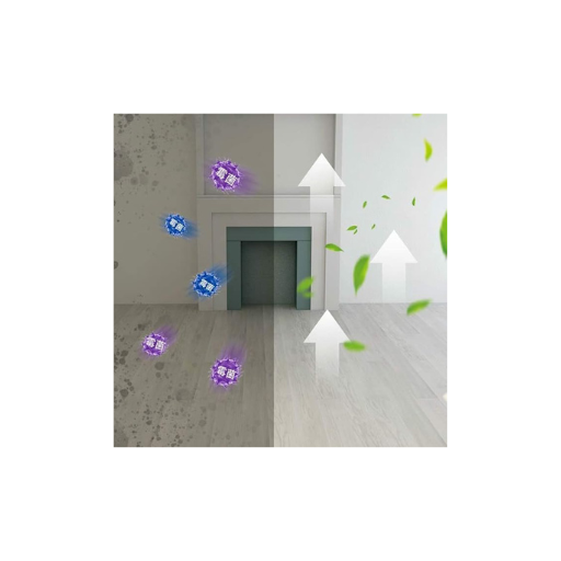 Wall Mold Remover Spray