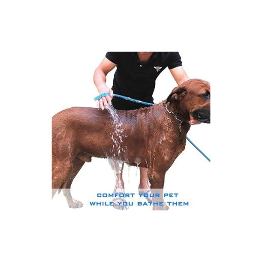 Dog Pipe