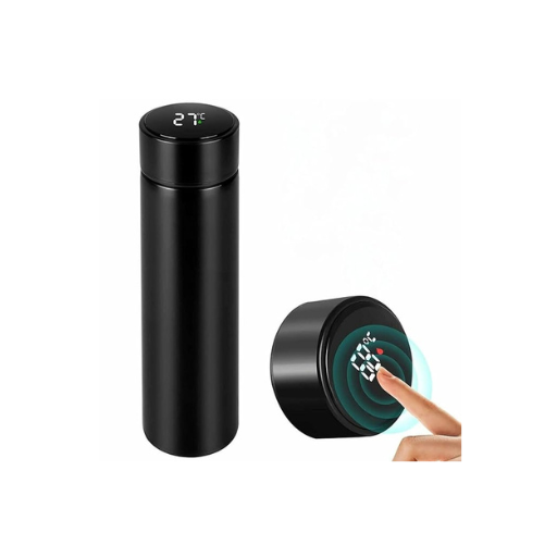 Temperature water bottle